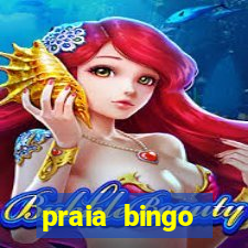 praia bingo dinheiro infinito 2022